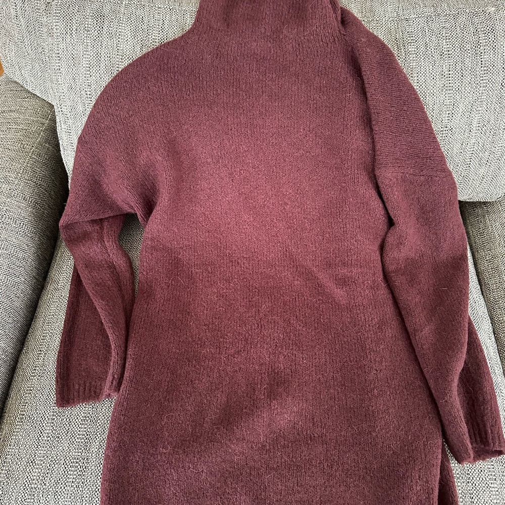 Aerie Maroon Turtleneck Sweater